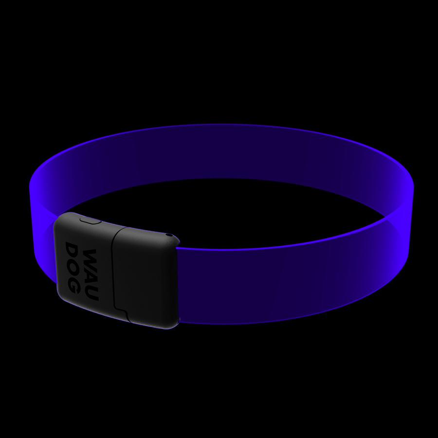 Нашийник для собак з підсвічуванням WAUDOG LED, RGB, Type-C, регульований, Ш 25 мм, Дов 60 см