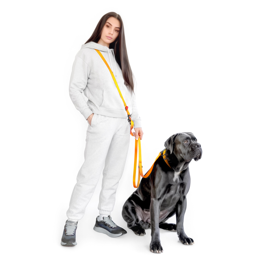 Повідець-перестібка для собак WAUDOG Nylon Mono, світловідбивний, М, Ш 20 мм, Дов 300 см, помаранчевий