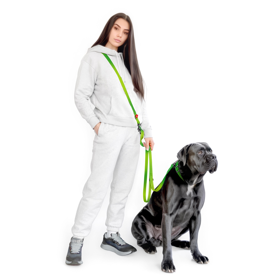 Повідець-перестібка для собак WAUDOG Nylon Mono, світловідбивний, М, Ш 20 мм, Дов 300 см, салатовий