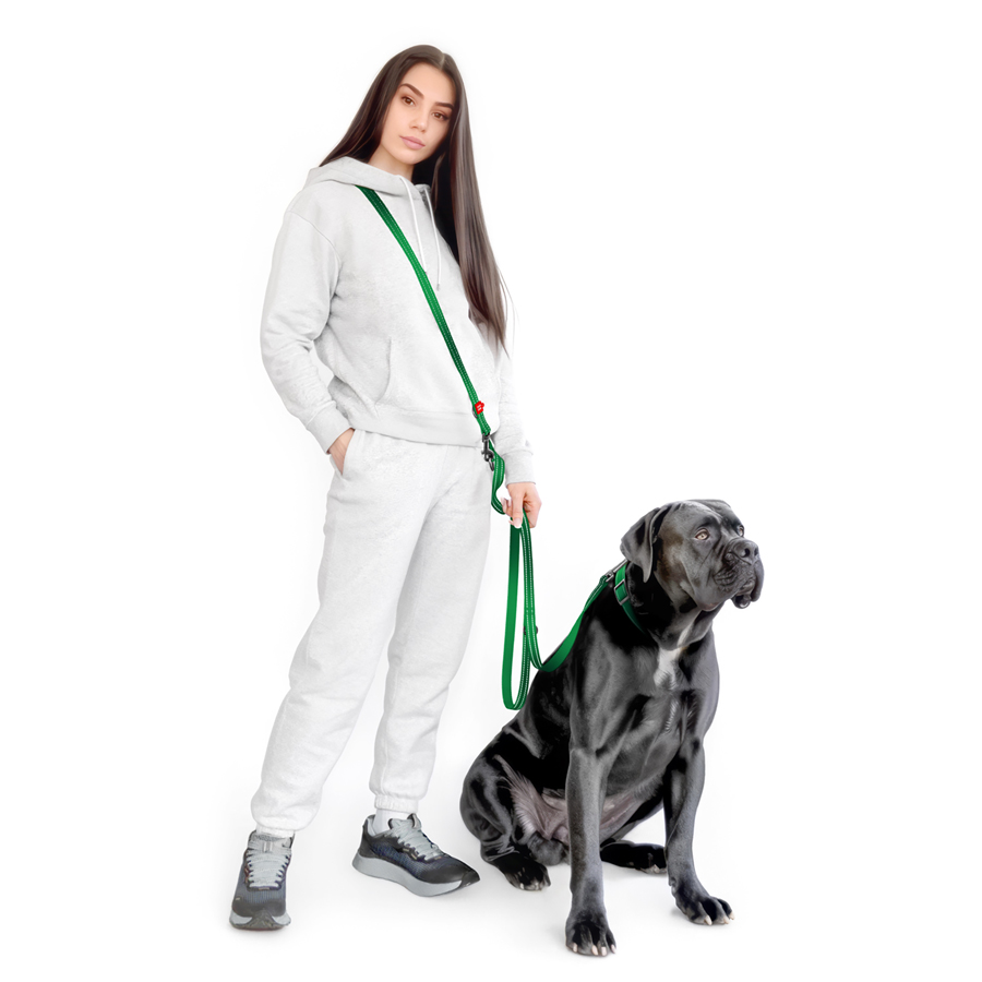 Повідець-перестібка для собак WAUDOG Nylon Mono, світловідбивний, М, Ш 20 мм, Дов 300 см, зелений