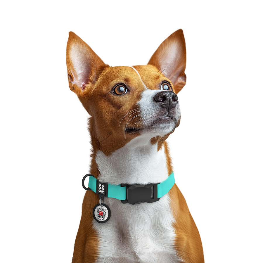 Нашийник для собак водостійкий WAUDOG Magnet c QR паспортом, магнітна пряжка-фастекс, S, Ш 15 мм, Дов 26-35 см, тіффані