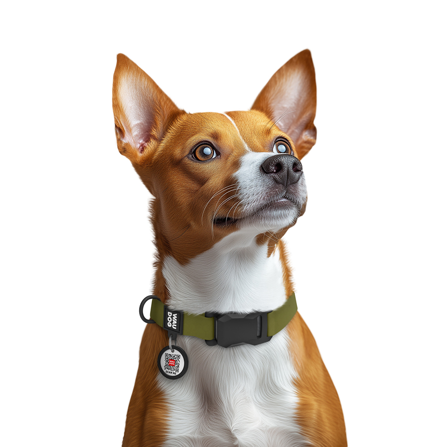 Нашийник для собак водостійкий WAUDOG Magnet c QR паспортом, магнітна пряжка-фастекс, S, Ш 15 мм, Дов 26-35 см, хакі