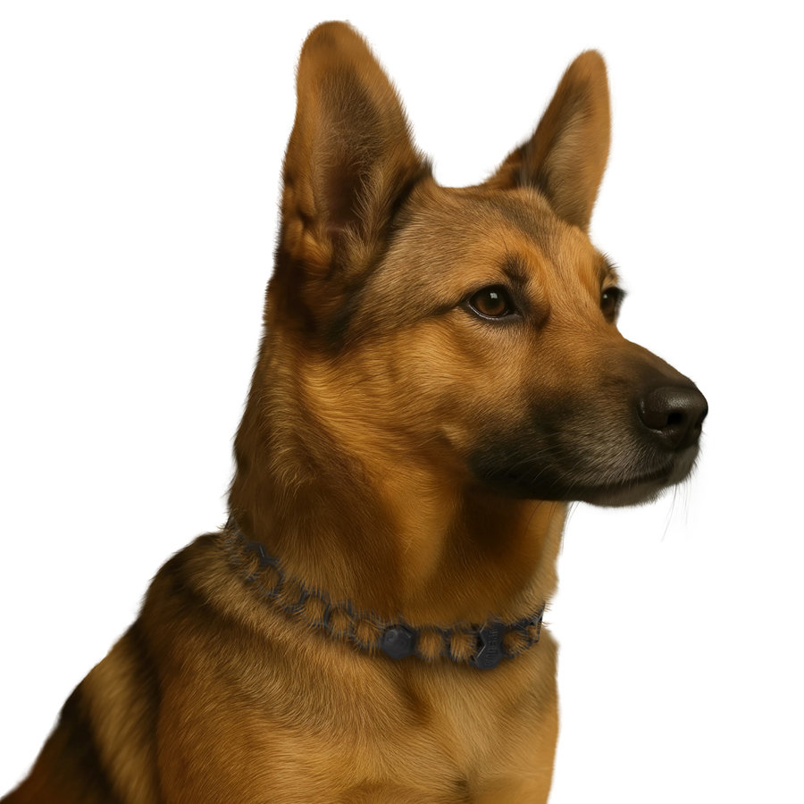 СУПЕРІУМ Блокер протипаразитарний нашийник для собак, 70 см