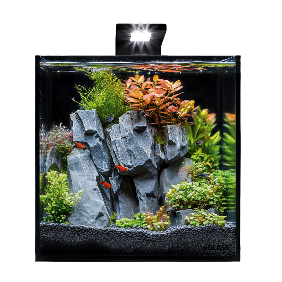 Акваріумний набір BlackCube 20 літрів, з чорною задньою стінкою, 27х27х27 см, скло 4 мм