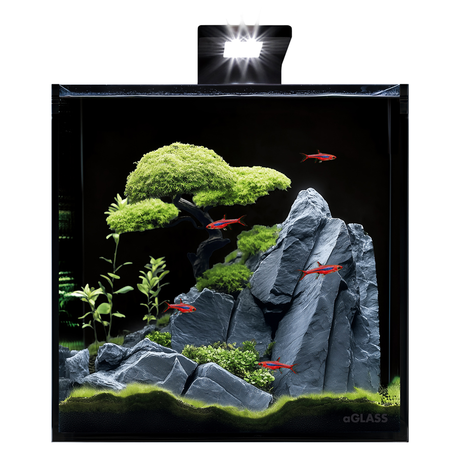Акваріумний набір BlackCube 30 літрів, з чорною задньою стінкою, 31х31х31 см, скло 4 мм