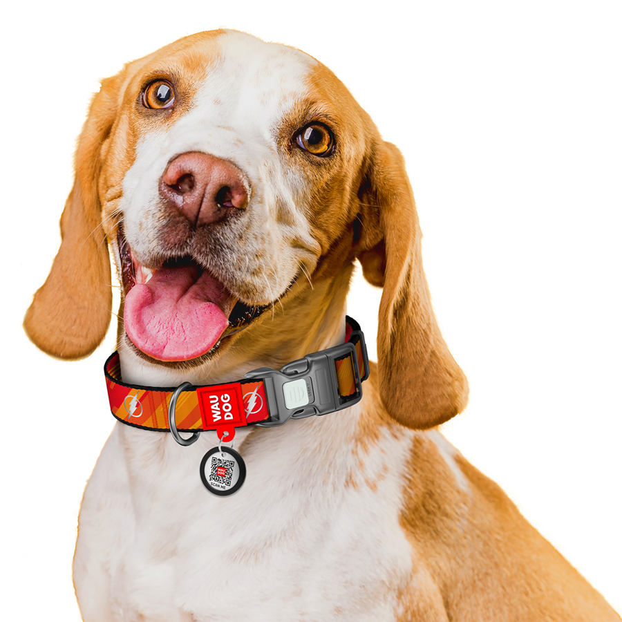 Нашийник для собак нейлоновий WAUDOG Nylon з QR паспортом, світловідбивний, малюнок 