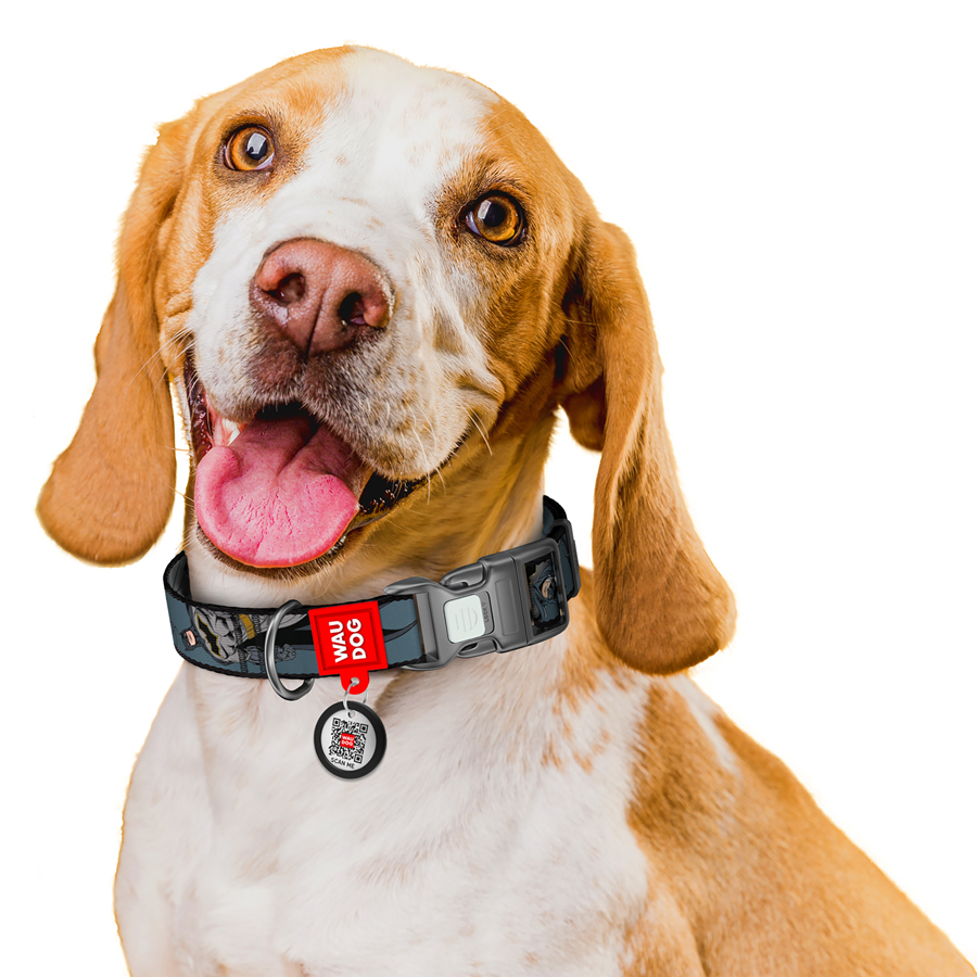 Нашийник для собак нейлоновий WAUDOG Nylon з QR паспортом, малюнок 