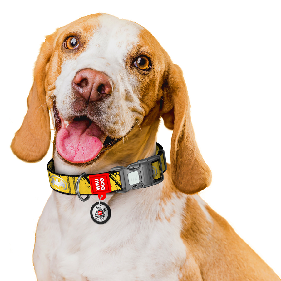 Нашийник для собак нейлоновий WAUDOG Nylon з QR паспортом, світловідбивний, малюнок 