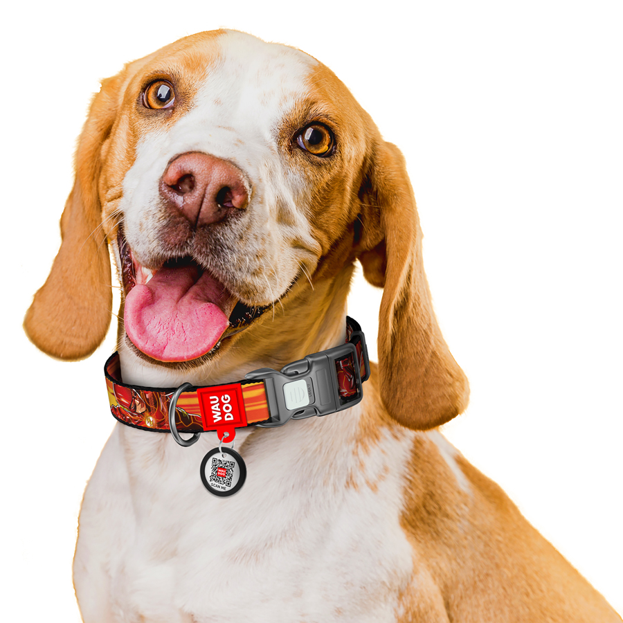 Нашийник для собак нейлоновий WAUDOG Nylon з QR паспортом, малюнок 