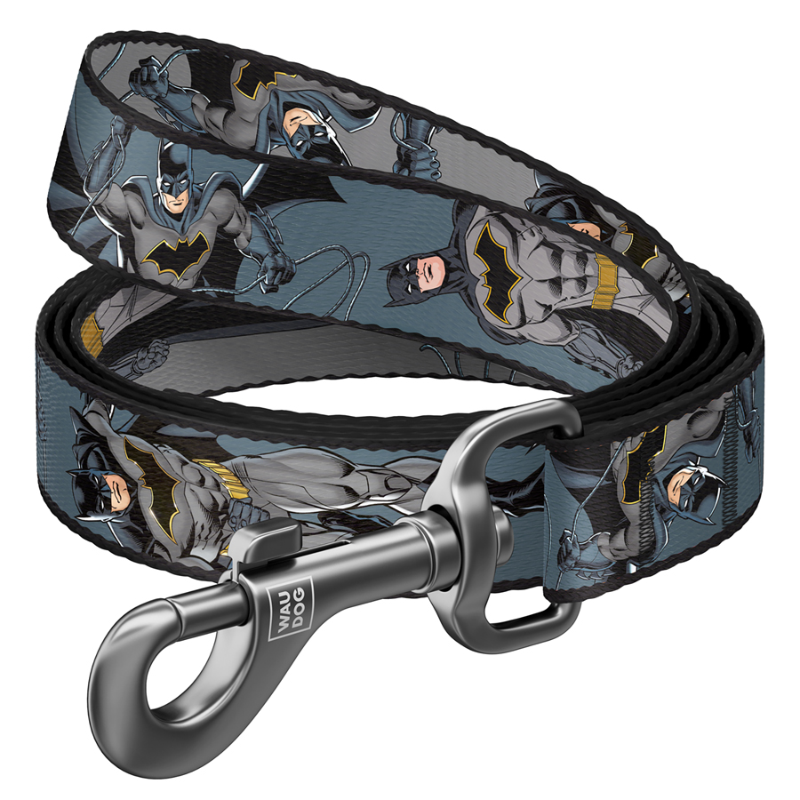 Повідець для собак нейлоновий WAUDOG Nylon, малюнок 