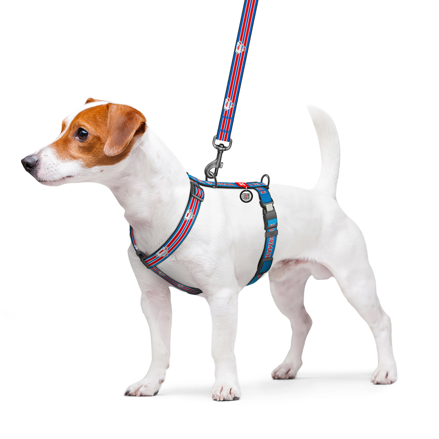 Шлея для собак анатомічна H-подібна WAUDOG Nylon з QR-паспортом, світловідбивна, малюнок 