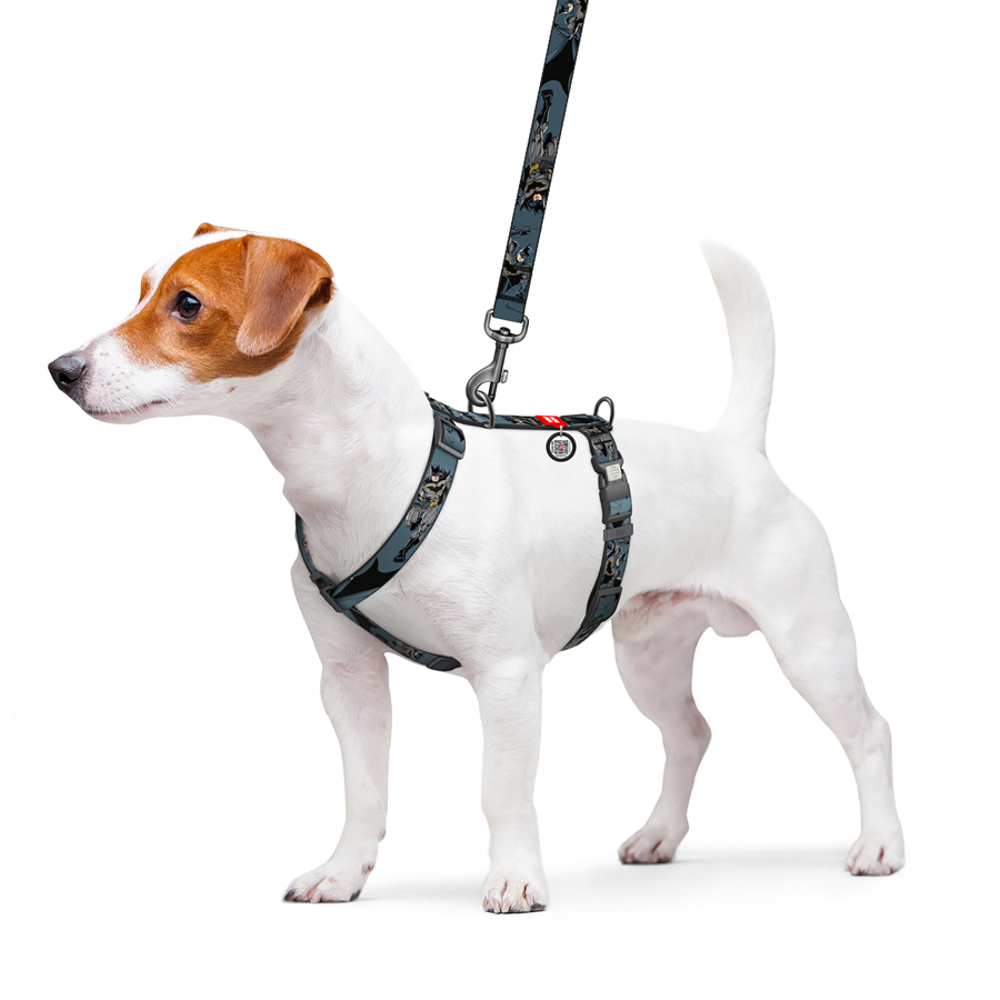 Шлея для собак анатомічна H-подібна WAUDOG Nylon з QR-паспортом, малюнок 