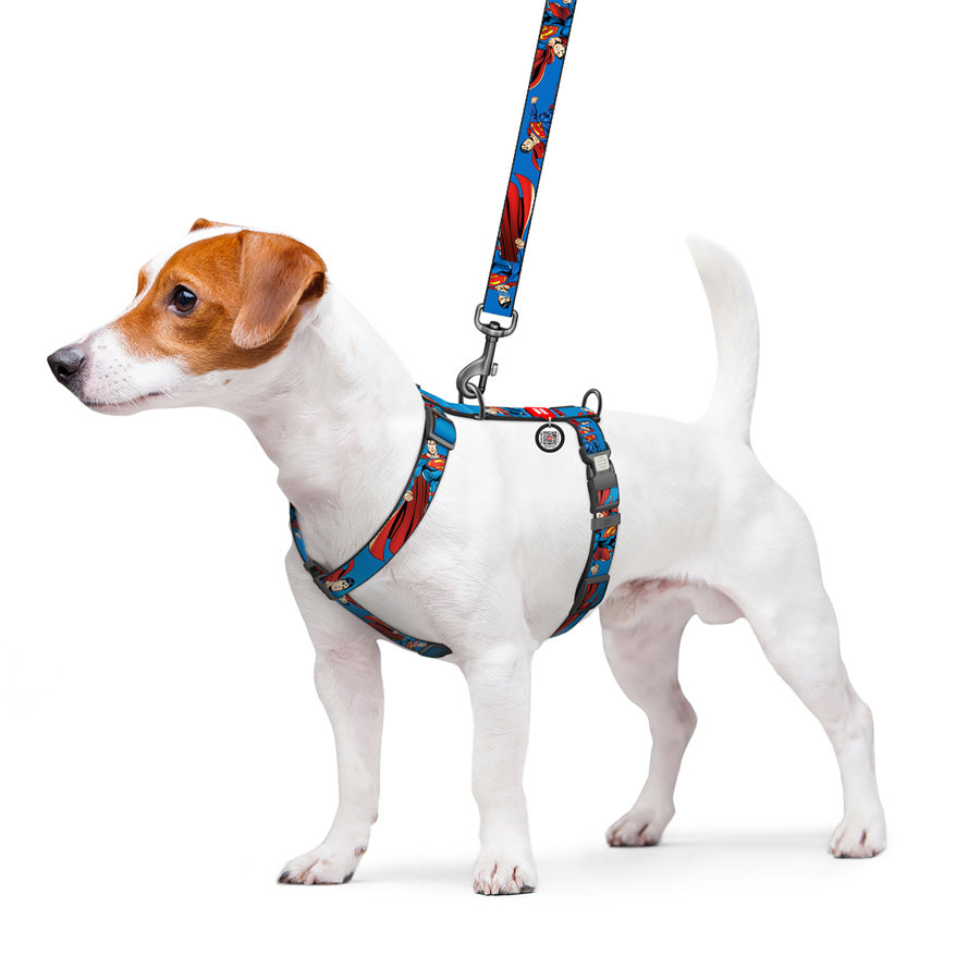 Шлея для собак анатомічна H-подібна WAUDOG Nylon з QR-паспортом, малюнок 