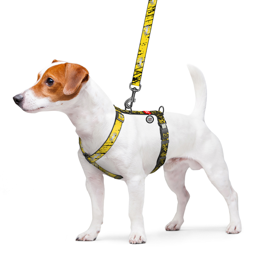 Шлея для собак анатомічна H-подібна WAUDOG Nylon з QR-паспортом, світловідбивна, малюнок 