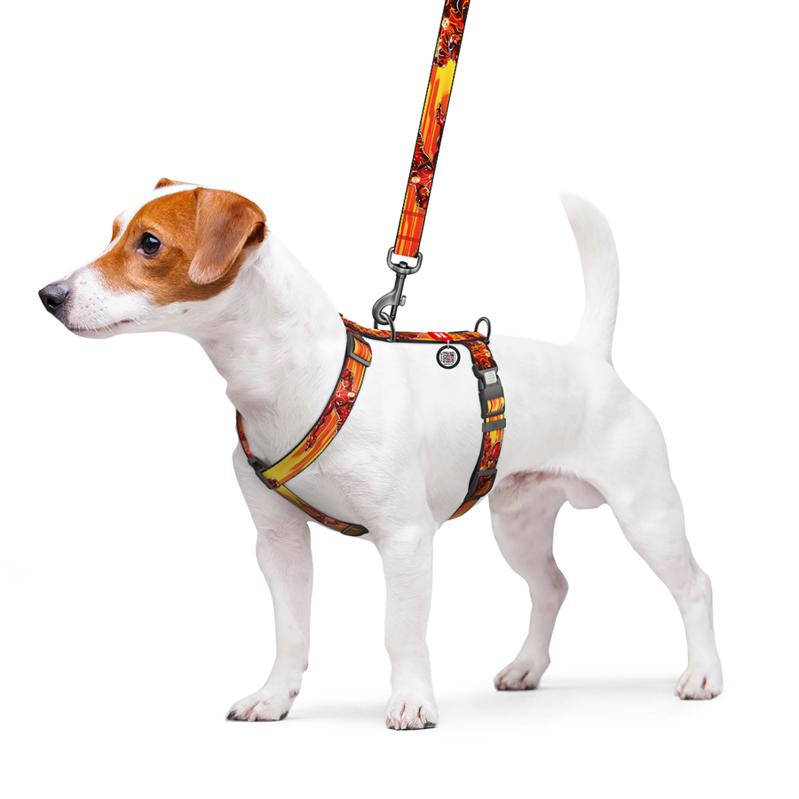 Шлея для собак анатомічна H-подібна WAUDOG Nylon з QR-паспортом, малюнок 