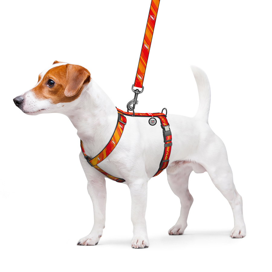 Шлея для собак анатомічна H-подібна WAUDOG Nylon з QR-паспортом, світловідбивна, малюнок 