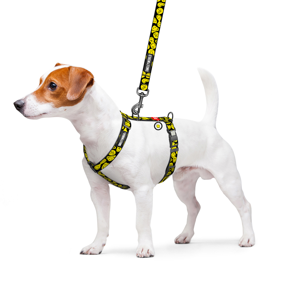 Шлея для собак анатомічна H-подібна WAUDOG Nylon з QR-паспортом, малюнок 