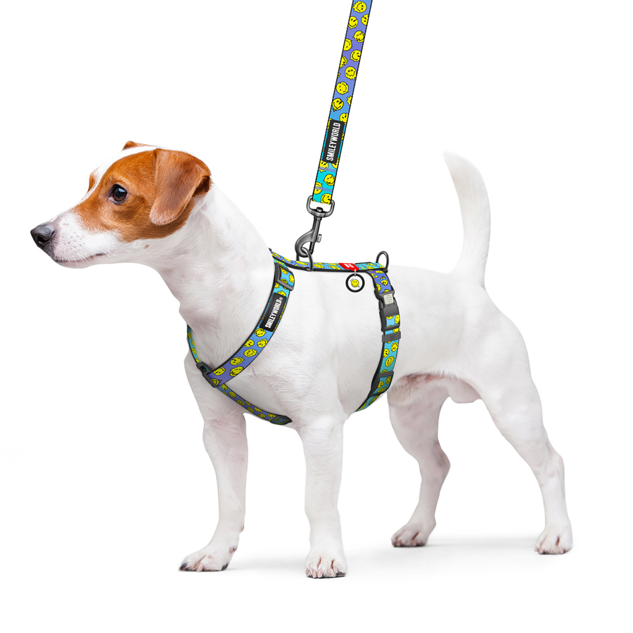 Шлея для собак анатомічна H-подібна WAUDOG Nylon з QR-паспортом, малюнок 