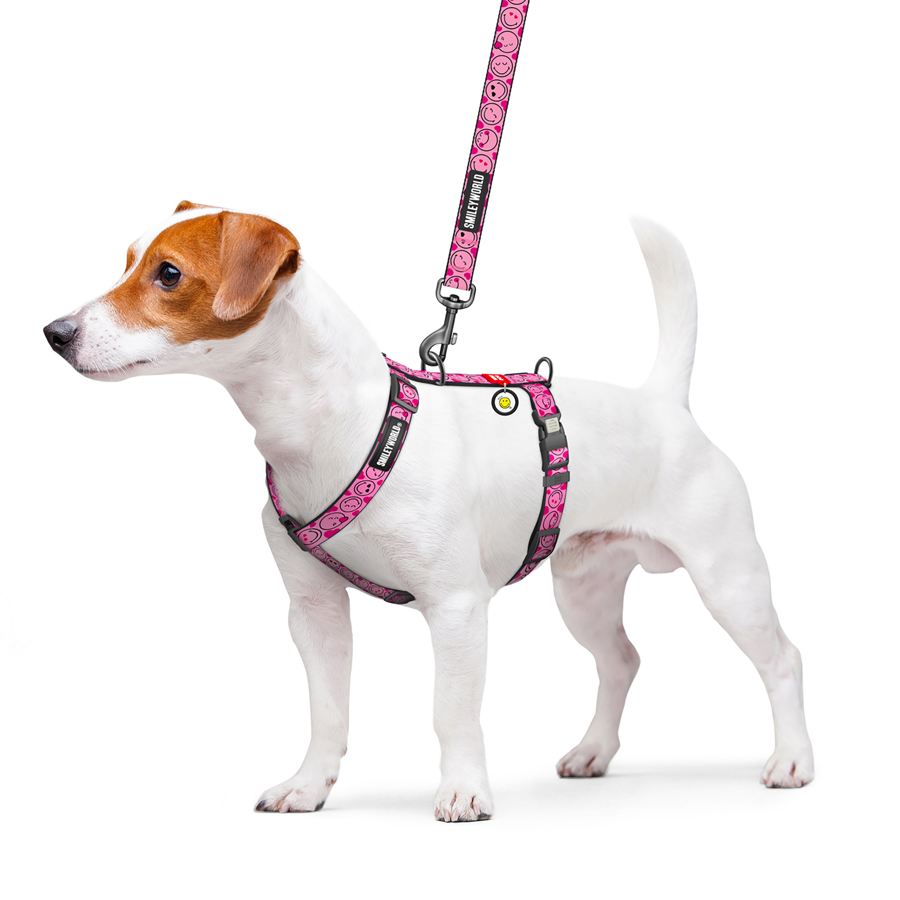 Шлея для собак анатомічна H-подібна WAUDOG Nylon з QR-паспортом, малюнок 