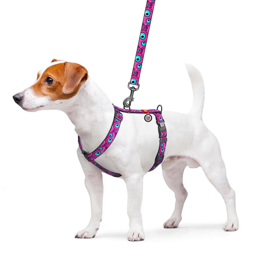 Шлея для собак анатомічна H-подібна WAUDOG Nylon з QR-паспортом, малюнок 