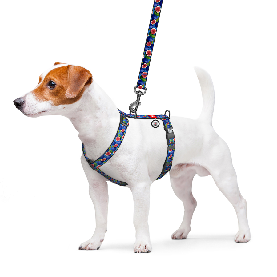 Шлея для собак анатомічна H-подібна WAUDOG Nylon з QR-паспортом, малюнок 