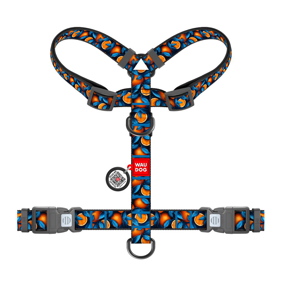 Шлея для собак анатомічна H-подібна WAUDOG Nylon з QR-паспортом, малюнок 