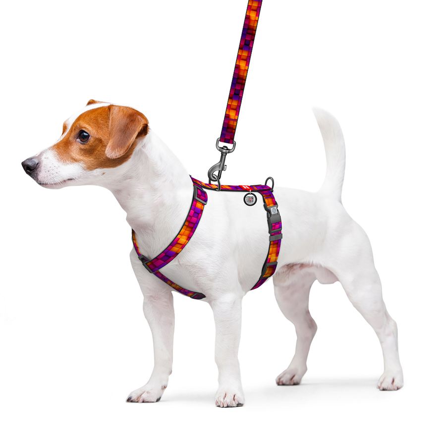 Шлея для собак анатомічна H-подібна WAUDOG Nylon з QR-паспортом, малюнок 