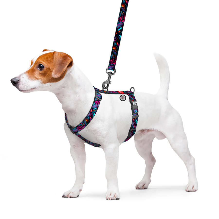 Шлея для собак анатомічна H-подібна WAUDOG Nylon з QR-паспортом, малюнок 