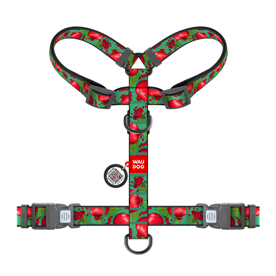 Шлея для собак анатомічна H-подібна WAUDOG Nylon з QR-паспортом, малюнок 