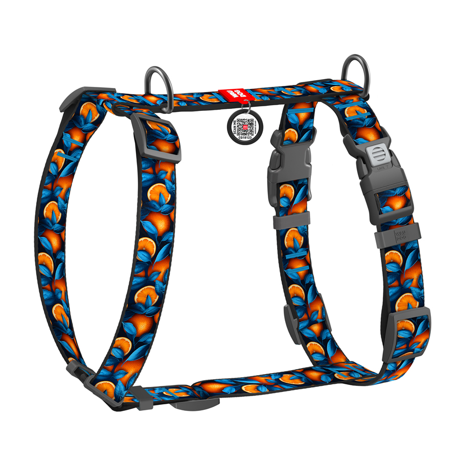 Шлея для собак анатомічна H-подібна WAUDOG Nylon з QR-паспортом, малюнок 