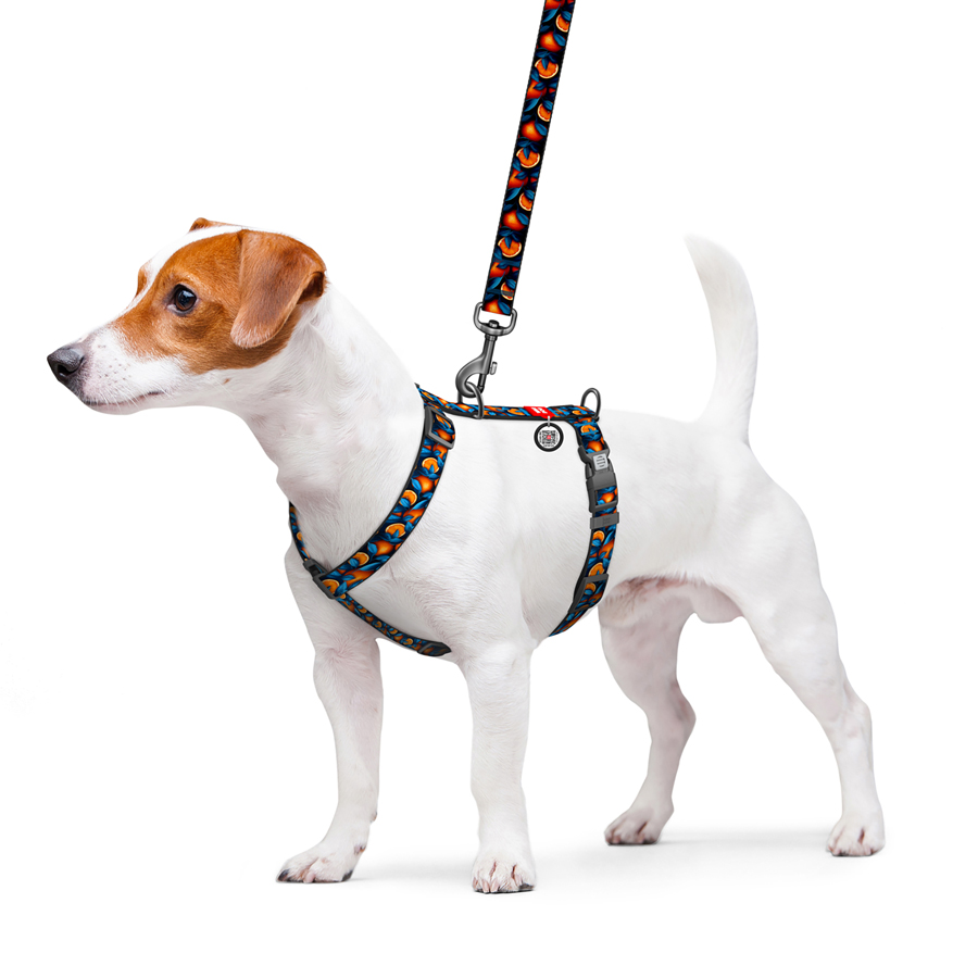 Шлея для собак анатомічна H-подібна WAUDOG Nylon з QR-паспортом, малюнок 