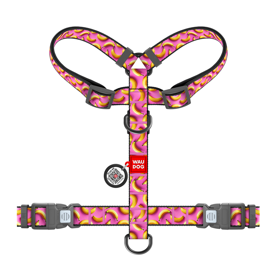 Шлея для собак анатомічна H-подібна WAUDOG Nylon з QR-паспортом, малюнок 