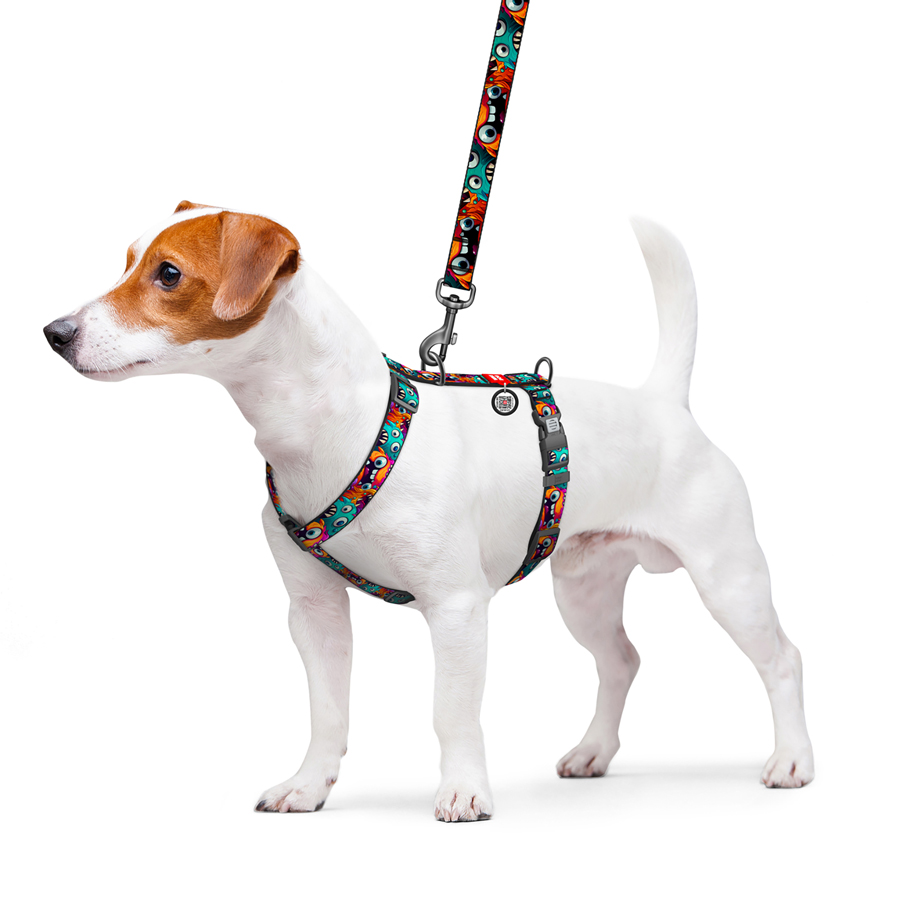 Шлея для собак анатомічна H-подібна WAUDOG Nylon з QR-паспортом, малюнок 