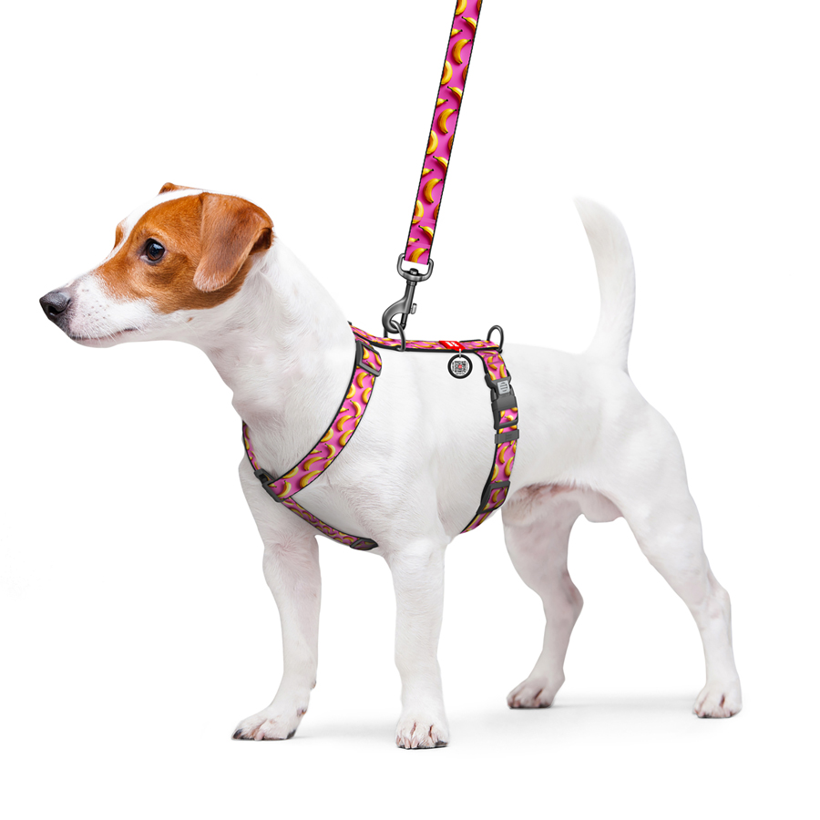 Шлея для собак анатомічна H-подібна WAUDOG Nylon з QR-паспортом, малюнок 