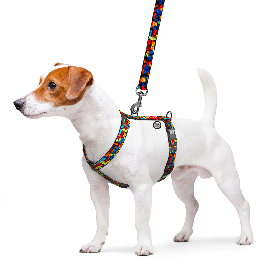 Шлея для собак анатомічна H-подібна WAUDOG Nylon з QR-паспортом, малюнок 