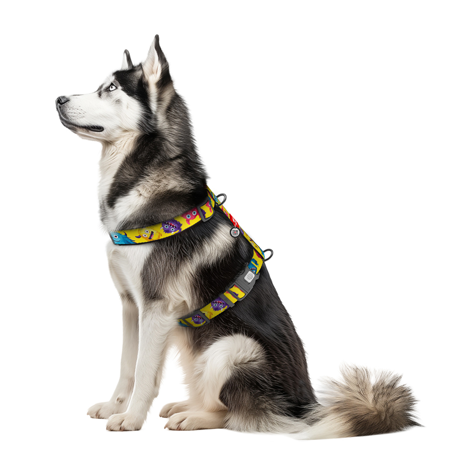 Шлея для собак анатомічна H-подібна WAUDOG Nylon з QR-паспортом, малюнок 