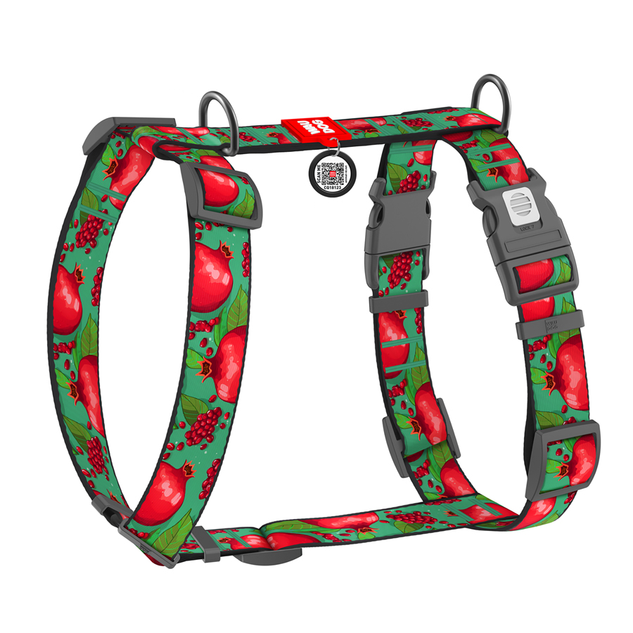 Шлея для собак анатомічна H-подібна WAUDOG Nylon з QR-паспортом, малюнок 