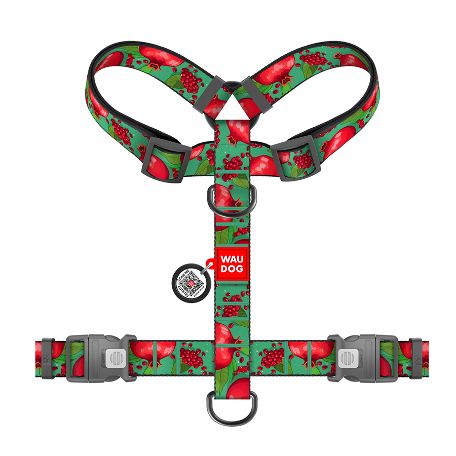 Шлея для собак анатомічна H-подібна WAUDOG Nylon з QR-паспортом, малюнок 