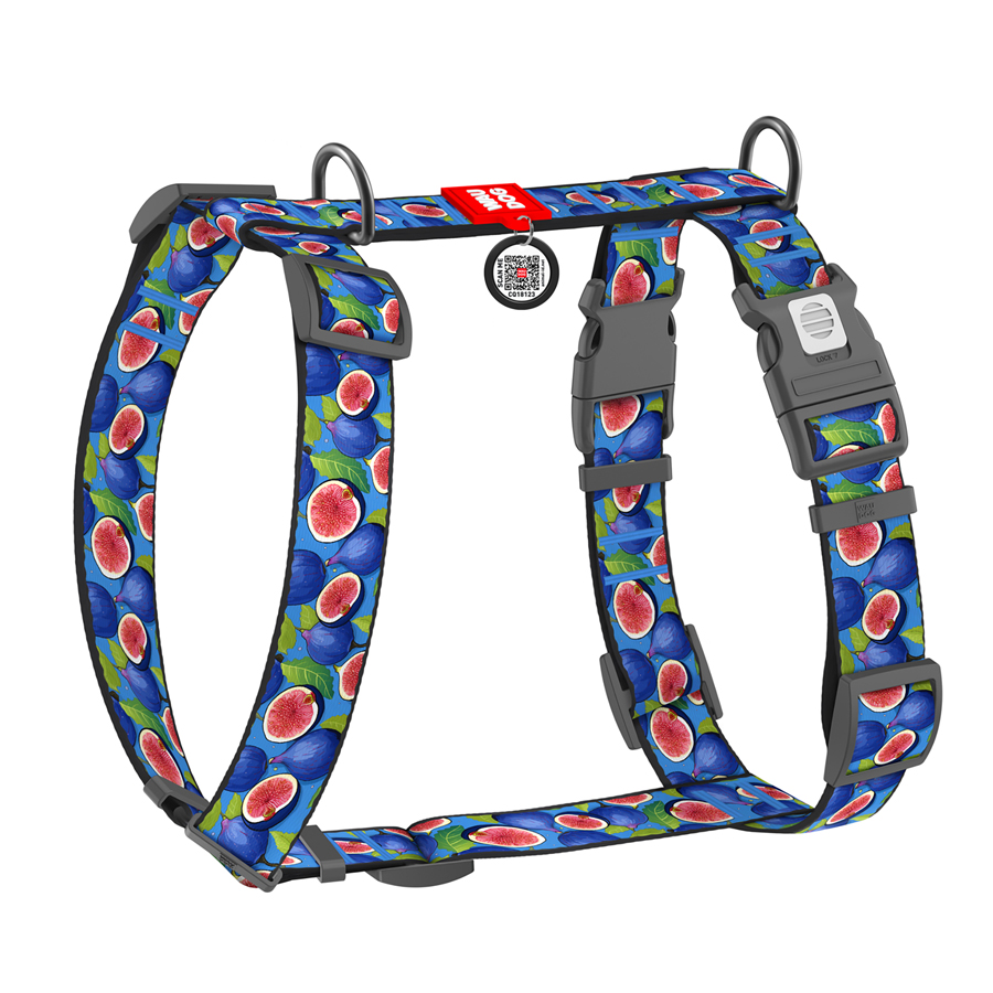 Шлея для собак анатомічна H-подібна WAUDOG Nylon з QR-паспортом, малюнок 
