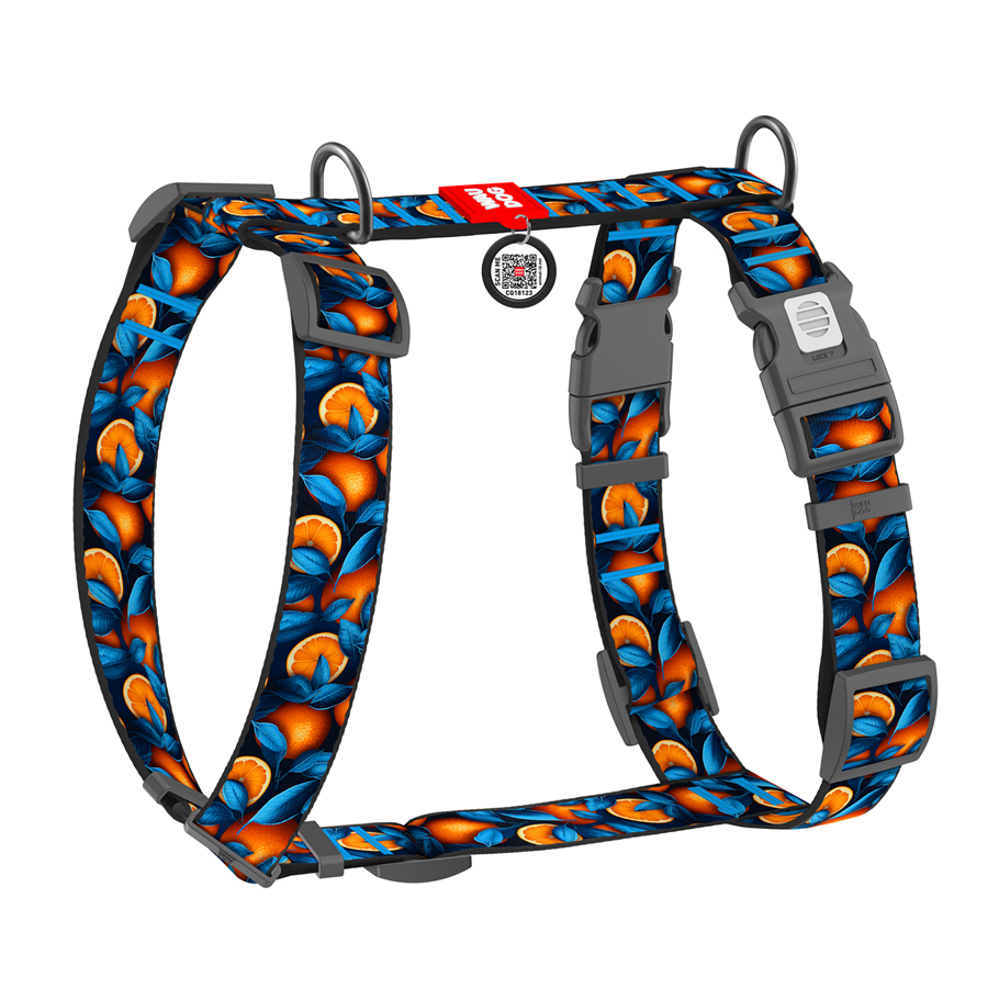 Шлея для собак анатомічна H-подібна WAUDOG Nylon з QR-паспортом, малюнок 