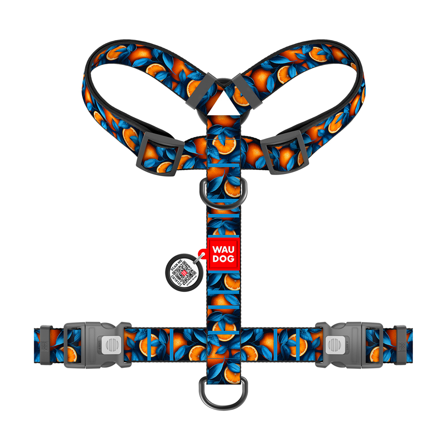 Шлея для собак анатомічна H-подібна WAUDOG Nylon з QR-паспортом, малюнок 