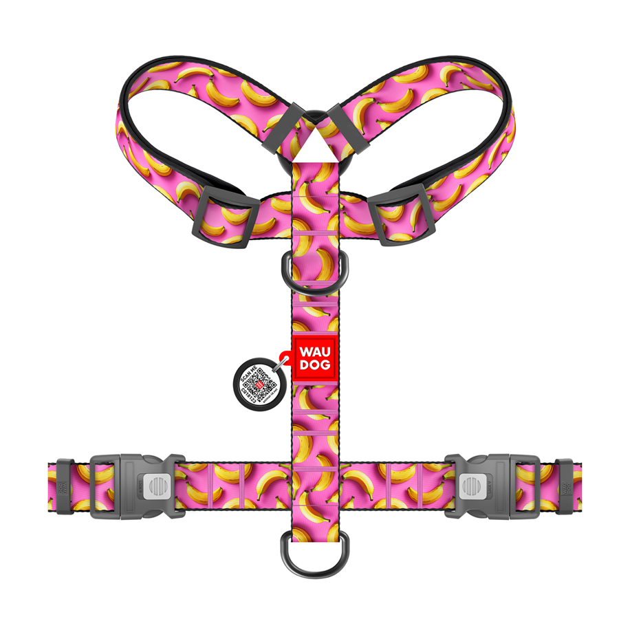 Шлея для собак анатомічна H-подібна WAUDOG Nylon з QR-паспортом, малюнок 
