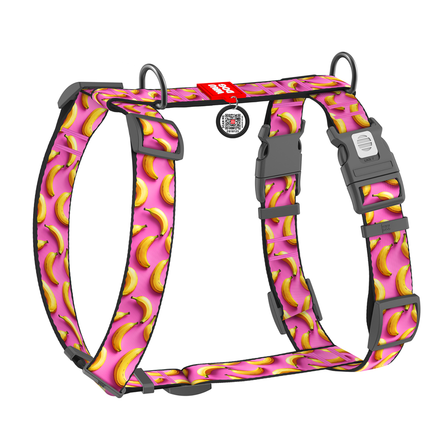 Шлея для собак анатомічна H-подібна WAUDOG Nylon з QR-паспортом, малюнок 