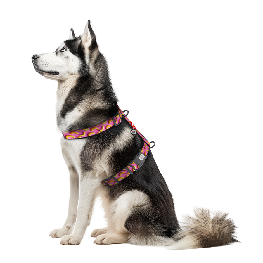 Шлея для собак анатомічна H-подібна WAUDOG Nylon з QR-паспортом, малюнок 