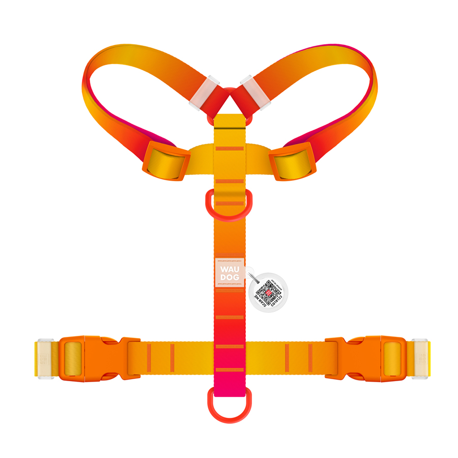 Шлея для собак анатомічна H-подібна WAUDOG Nylon Recycled з QR-паспортом, градієнт, пластиковий фастекс, М, Ш 20 мм, А 38-60 см, В 45-60 см, помаранчевий