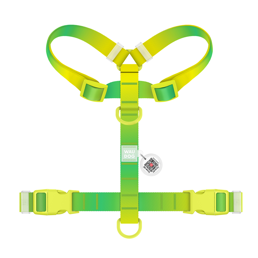 Шлея для собак анатомічна H-подібна WAUDOG Nylon Recycled з QR-паспортом, градієнт, пластиковий фастекс, М, Ш 20 мм, А 38-60 см, В 45-60 см, салатовий