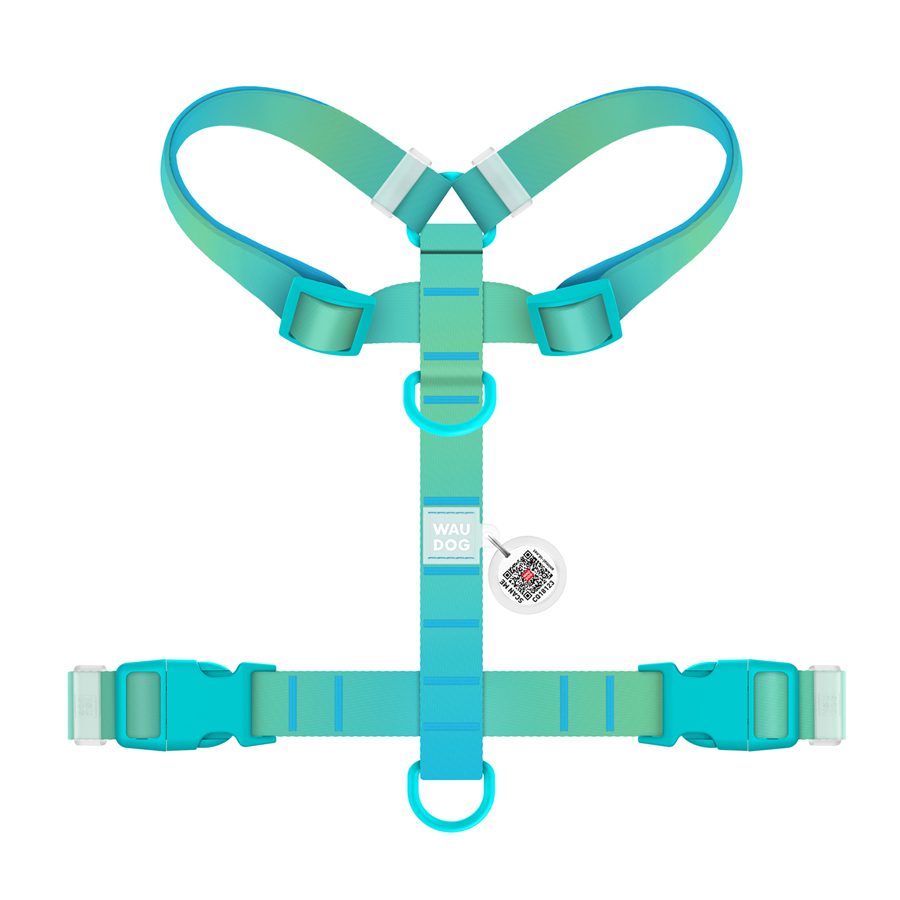 Шлея для собак анатомічна H-подібна WAUDOG Nylon Recycled з QR-паспортом, градієнт, пластиковий фастекс, XL, Ш 25 мм, А 60-100 см, В 68-100 см, блакитний