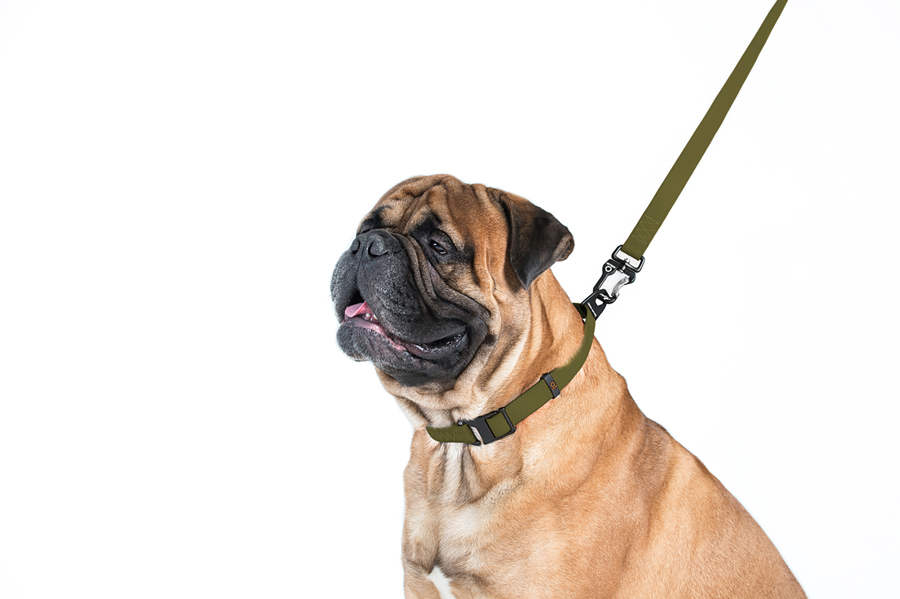 Повідець EVOLUTOR, Ш 25 мм, Дов 120 см, хакі