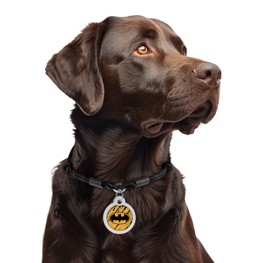 Адресник для собак і котів металевий WAUDOG Smart ID з QR паспортом, малюнок 