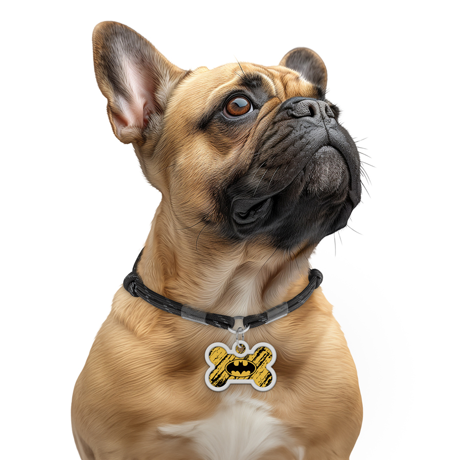 Адресник для собак і котів металевий WAUDOG Smart ID з QR паспортом, малюнок 